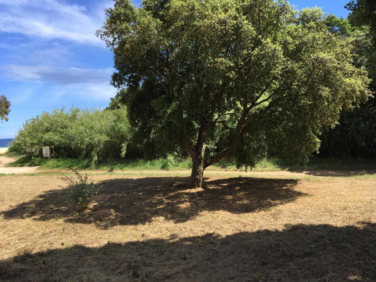 קבלייר-סור-מר Le Clos Des Sept Palmiers מראה חיצוני תמונה